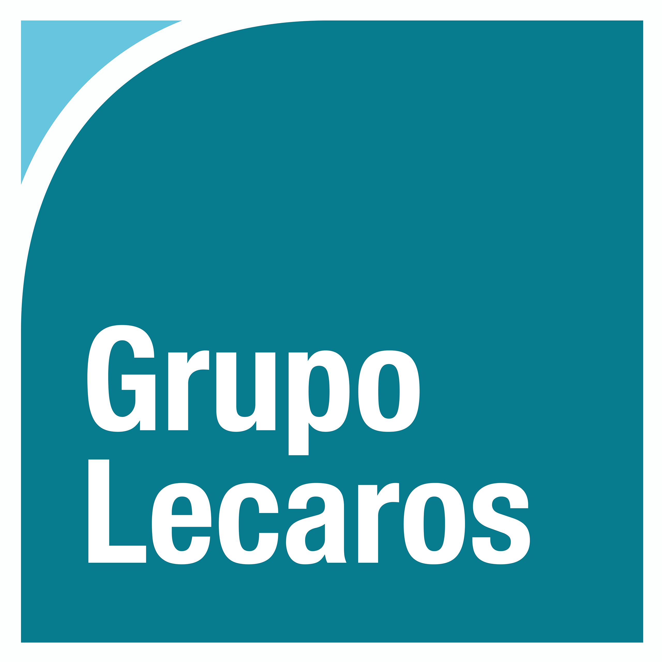 Logo Grupo Lecaros